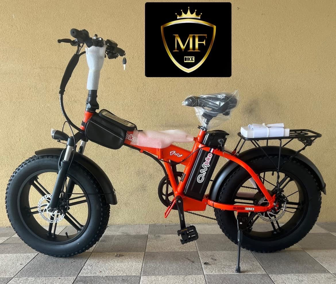 FAT BIKE
MOTORE 500 WATT
BATTERIA LG A LITIO 48V 16ah 699Wh